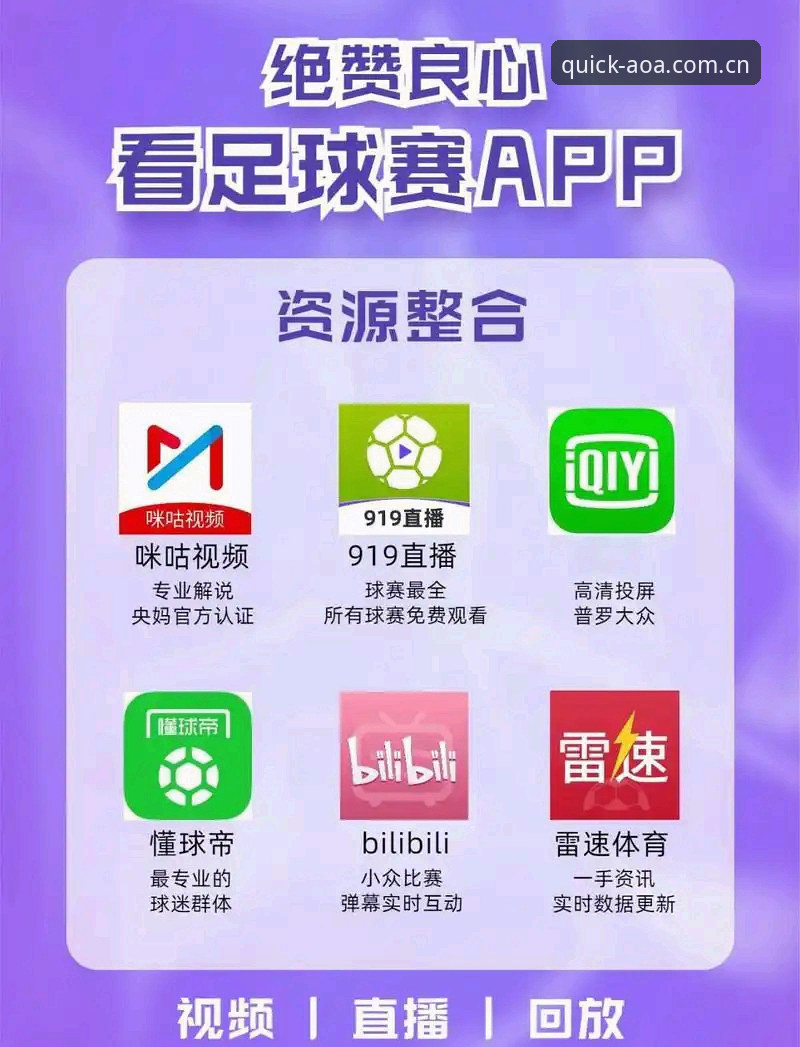 资深用户亲测：AOA体育官网地址使用技巧全攻略，从注册到APP安装一步到位
